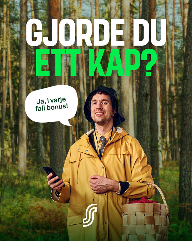 Gjorde du ett kap?, Swedish version